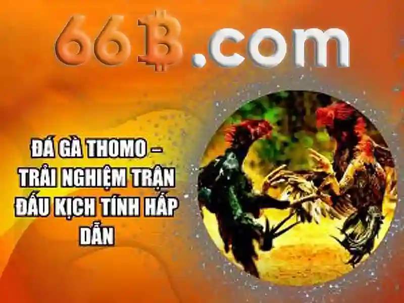 LLaMA 66B: mô hình ngôn ngữ lớn của Meta