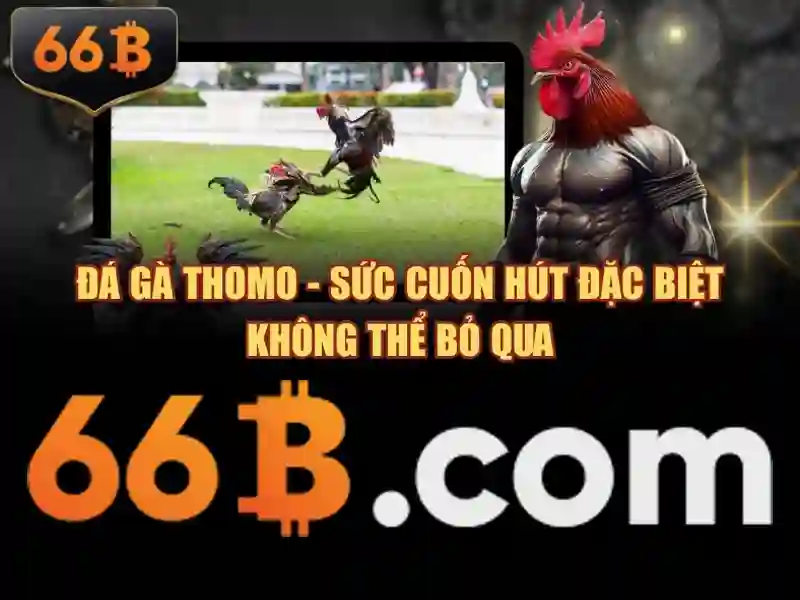 Kiến trúc và tham số của 66B