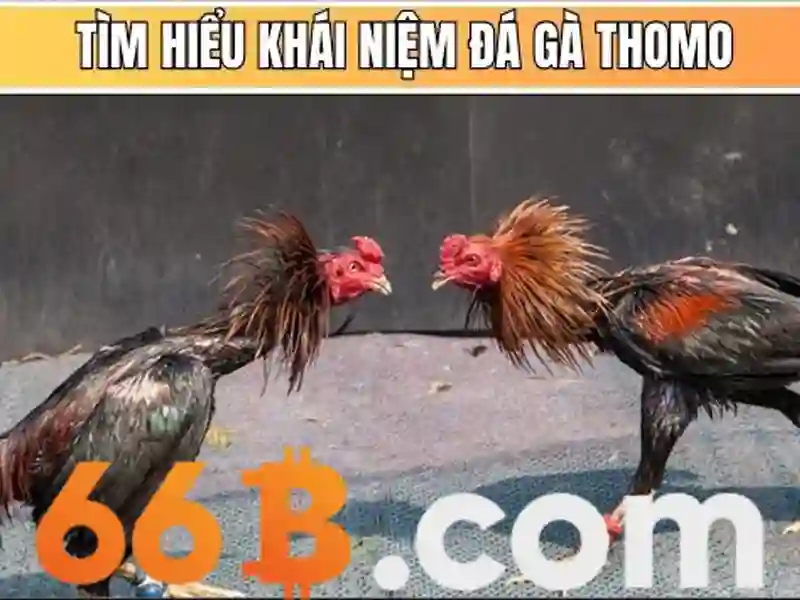 Giới thiệu về 66b Giới thiệu về 66b