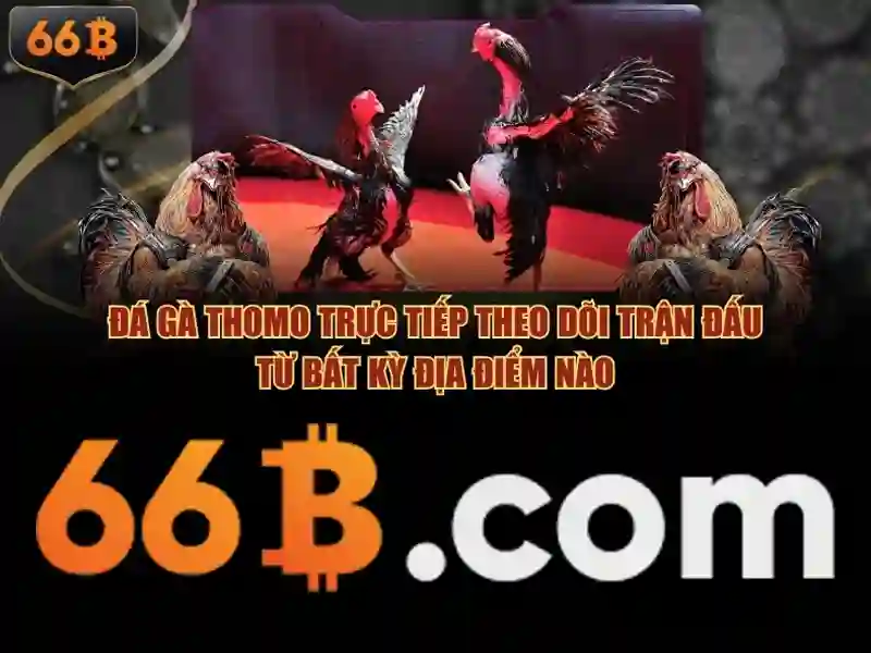 Hiệu suất và hạn chế