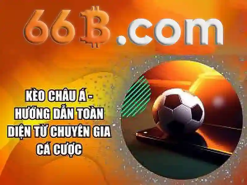 Ý nghĩa của 66b trong cá cược