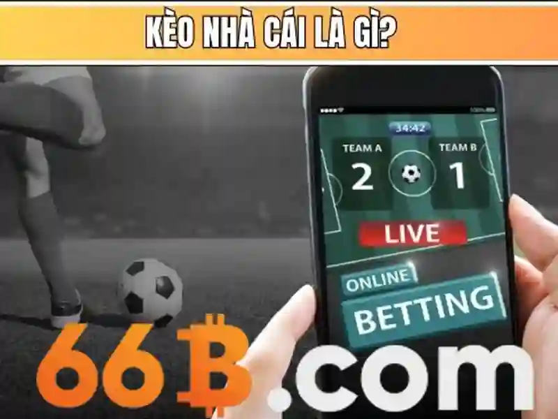 Biểu diễn và vai trò của 66B trong AI Biểu diễn và vai trò của 66B trong AI