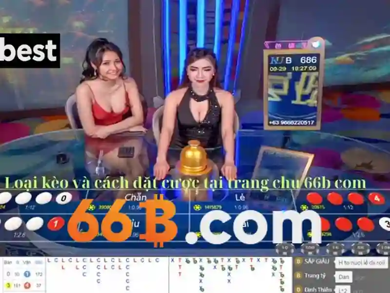 66b là gì