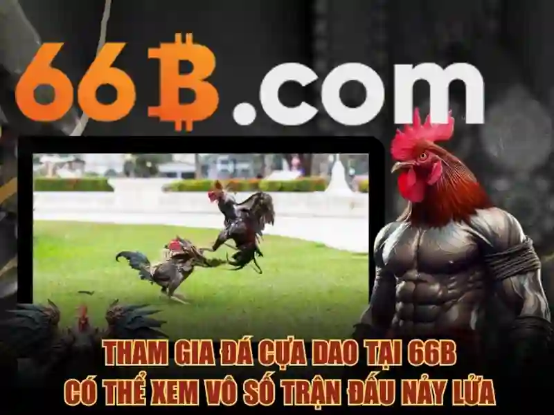 Ứng dụng tiềm năng của 66B