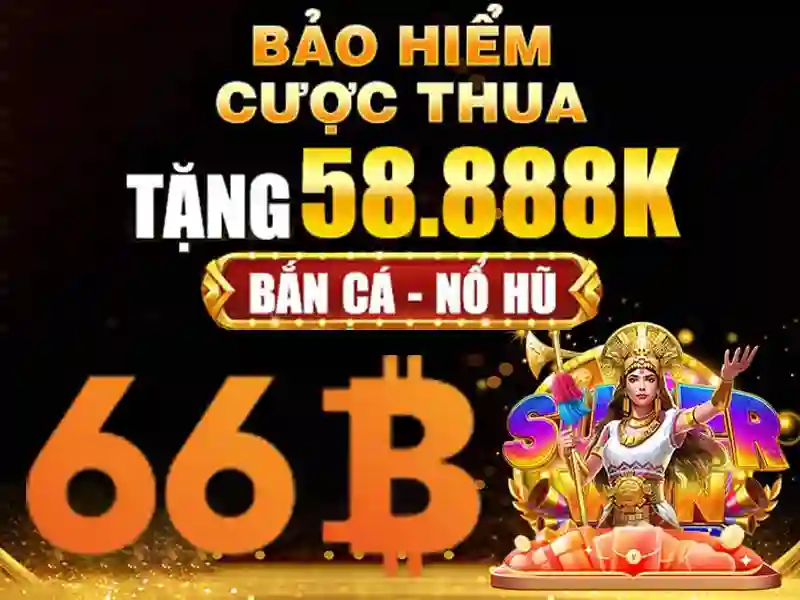 66B là gì\n