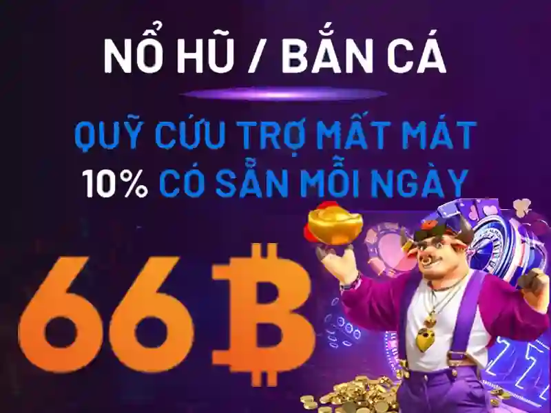66b là gì? 66b là gì?